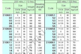 impa210605.jpg