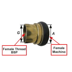 Adapter Female BSP to Female Mochino 1 1 2 .jpg