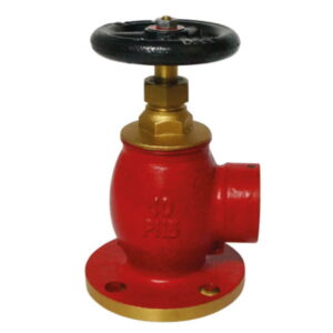 Angle Flanged Fire Hydrant PN16.jpg