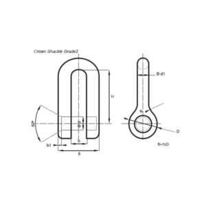 Crown Shackles A9 A15.jpg