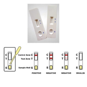 Drug Test Kit.jpg