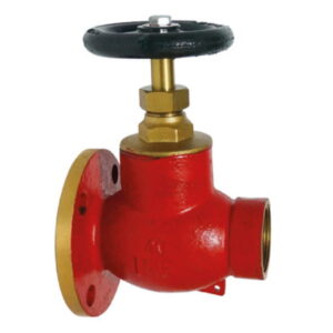Flanged Fire Hydrant .jpg