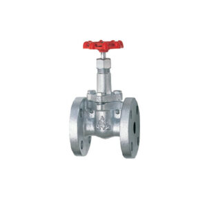 Gate Valve Kitz 10SMBF .jpg