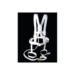 Safety Harness Full Body Type.jpg