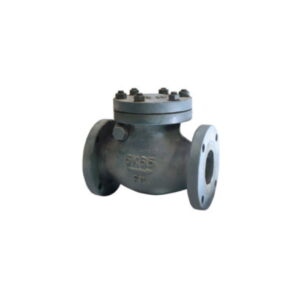 Swing Check Valve 10K F7373.jpg