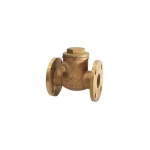 Swing Check Valve 5K F7371.jpg