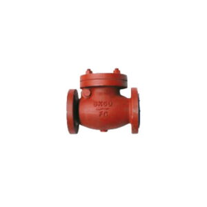 Swing Check Valve 5K F7372.jpg