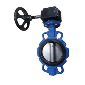 Worm Gear Butterfly Valve.jpg